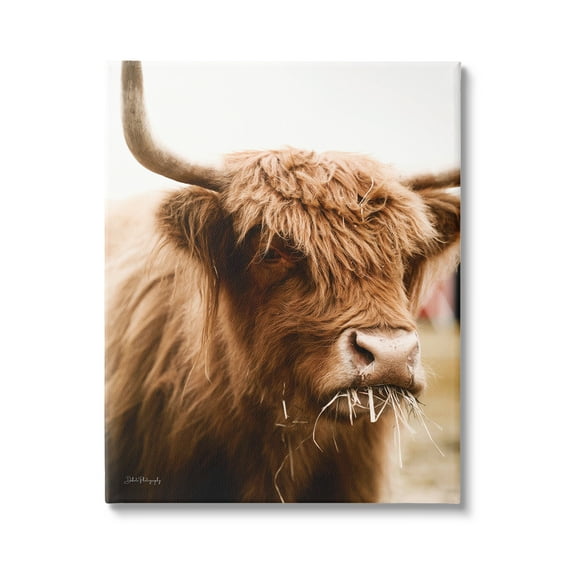 Stupell Industries Cattle Chewing Photography Animals & Insects Photography Gallery Wrapped Canvas Print Wall Art, 36 x 48