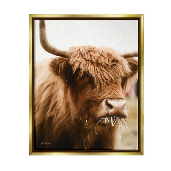 Stupell Industries Cattle Chewing Photography Animals & Insects Photography Gold Floater Framed Art Print Wall Art, 25 x 31