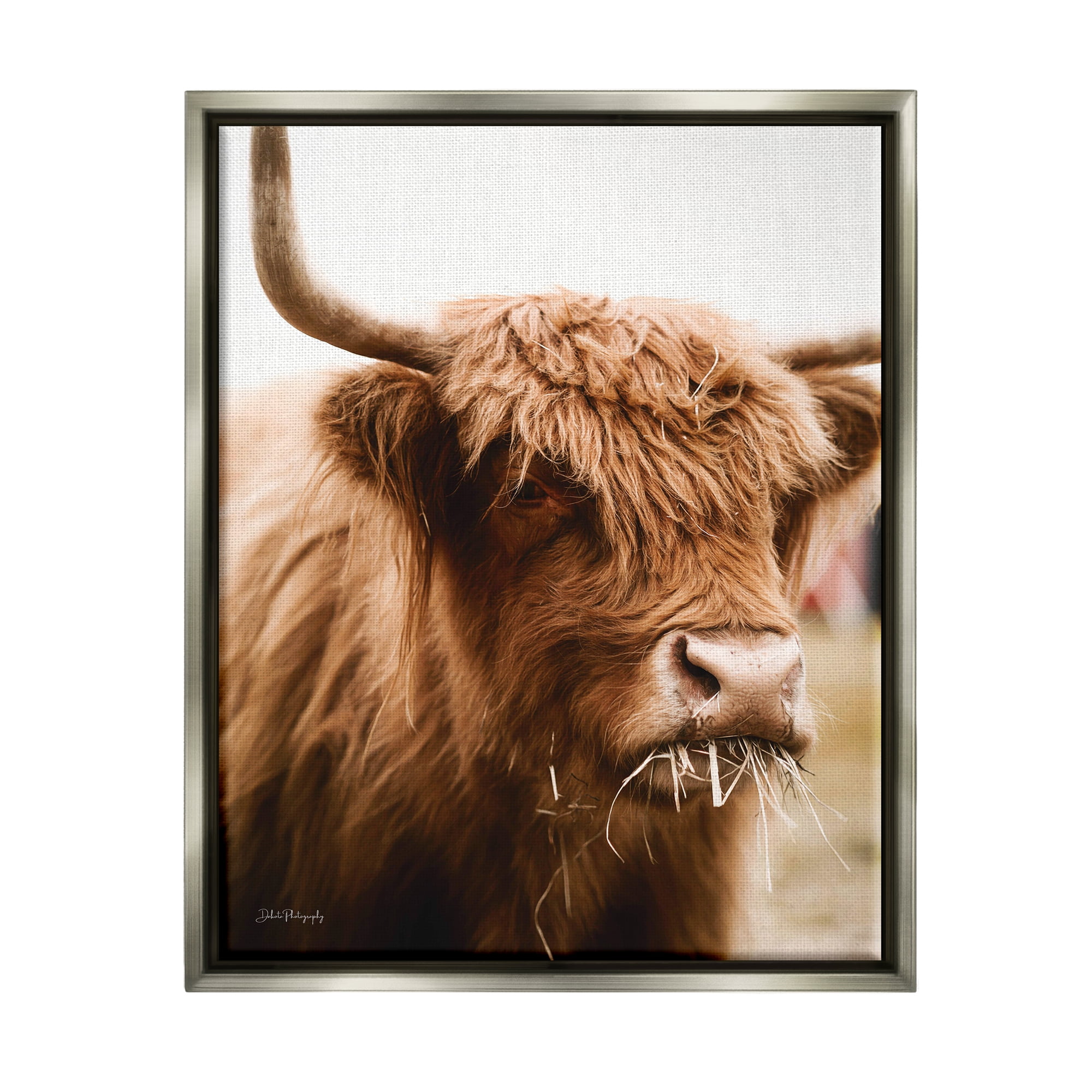 Stupell Industries Cattle Chewing Photography Animals & Insects Photography Gray Floater Framed Art Print Wall Art, 17 x 21