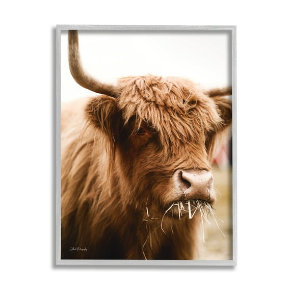 Stupell Industries Cattle Chewing Photography Animals & Insects Photography Gray Framed Art Print Wall Art, 24 x 30
