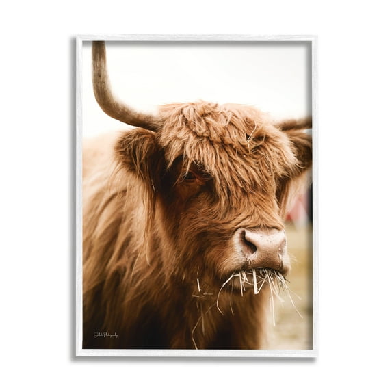 Stupell Industries Cattle Chewing Photography Animals & Insects Photography White Framed Art Print Wall Art, 24 x 30