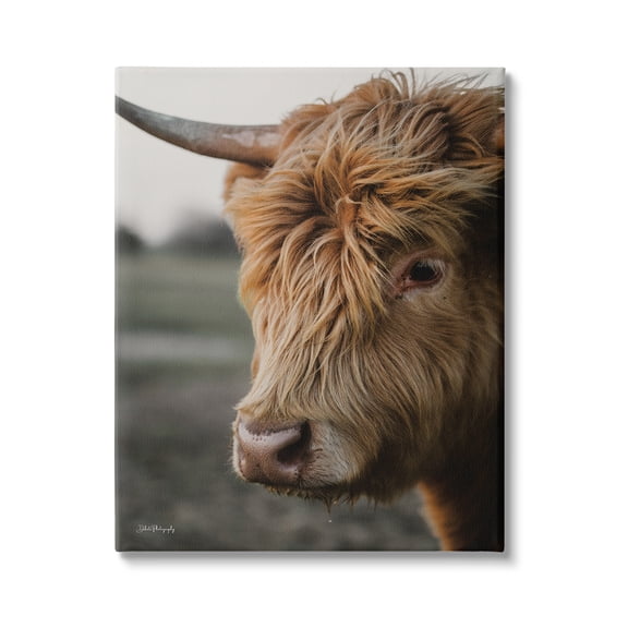 Stupell Industries Cattle Gazing Portrait Animals & Insects Photography Gallery Wrapped Canvas Print Wall Art, 16 x 20