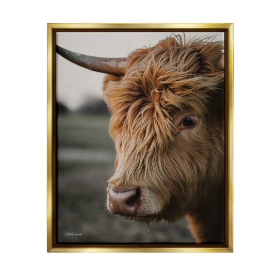 Stupell Industries Cattle Gazing Portrait Animals & Insects Photography Gold Floater Framed Art Print Wall Art, 25 x 31