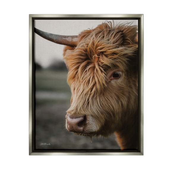 Stupell Industries Cattle Gazing Portrait Animals & Insects Photography Gray Floater Framed Art Print Wall Art, 17 x 21