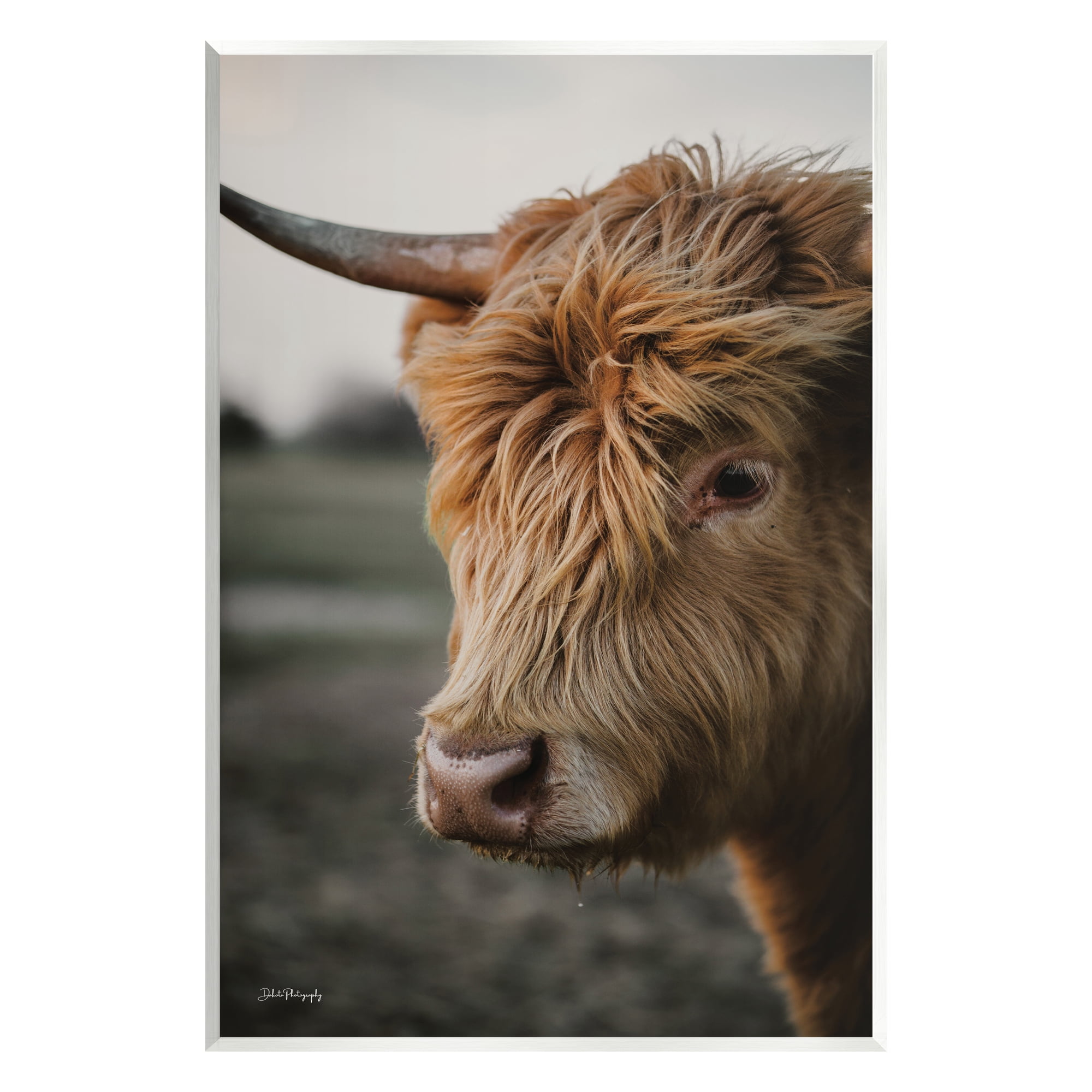 Stupell Industries Cattle Gazing Portrait Animals & Insects Photography Unframed Art Print Wall Art, 10 x 15