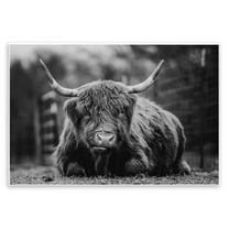 Stupell Industries Cattle Laying in Grass Animals & Insects Photography Unframed Art Print Wall Art, 15 x 10