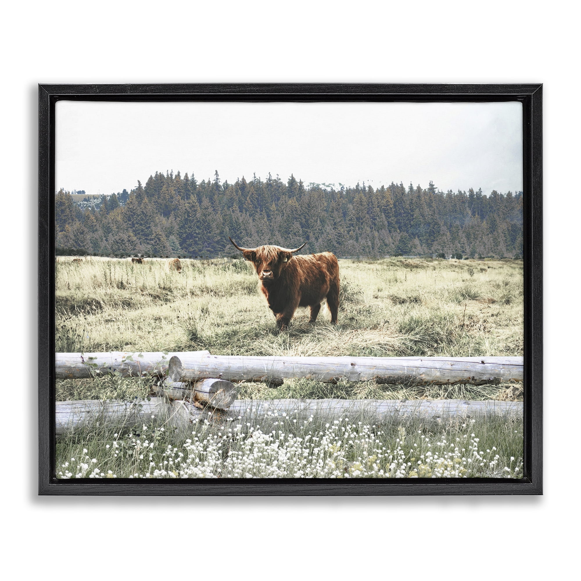 Stupell Industries Cattle Overlooking Fence Animals & Insects Photography Black Floater Framed Canvas Art Print Wall Art, 31 x 25