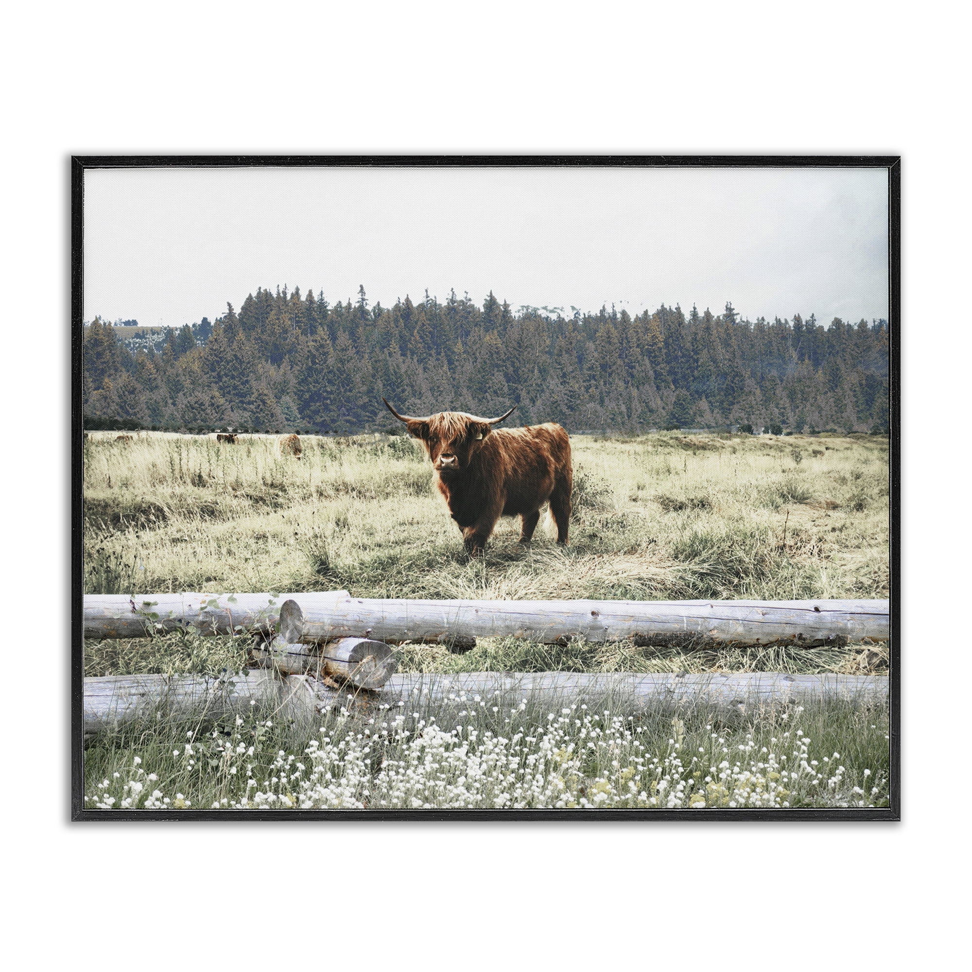 Stupell Industries Cattle Overlooking Fence Animals & Insects Photography Black Framed Art Print Wall Art, 14 x 11