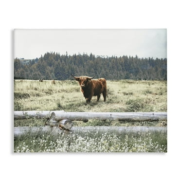 Stupell Industries Cattle Overlooking Fence Animals & Insects Photography Gallery Wrapped Canvas Art Print Wall Art, 20 x 16