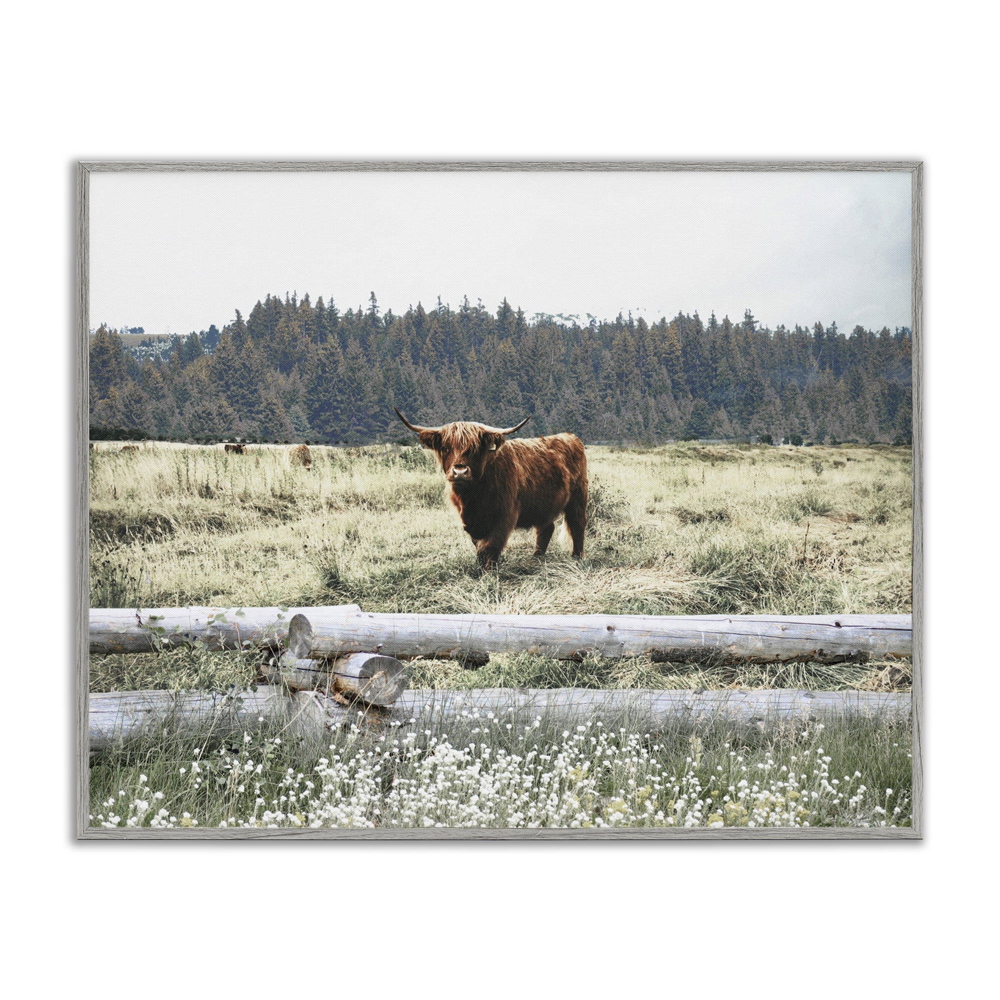 Stupell Industries Cattle Overlooking Fence Animals & Insects Photography Gray Framed Art Print Wall Art, 14 x 11