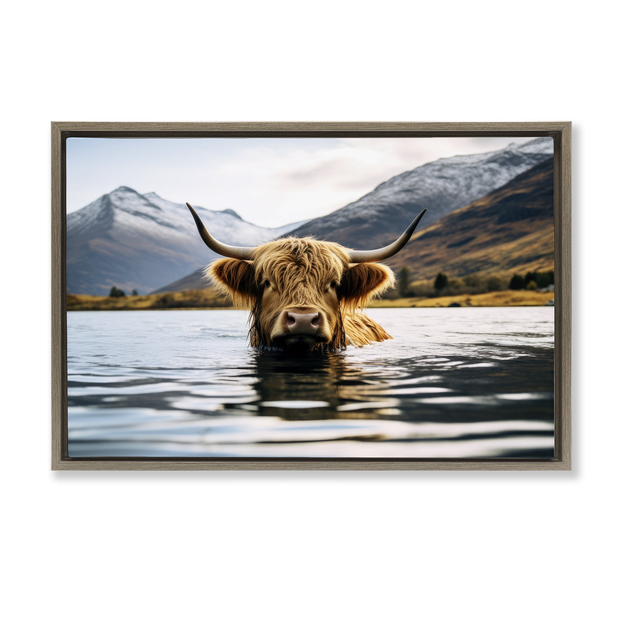 Stupell Industries Cattle Peeking from Water Animals Photography Brown Floater Framed Canvas Art Print Wall Art, 25 x 17