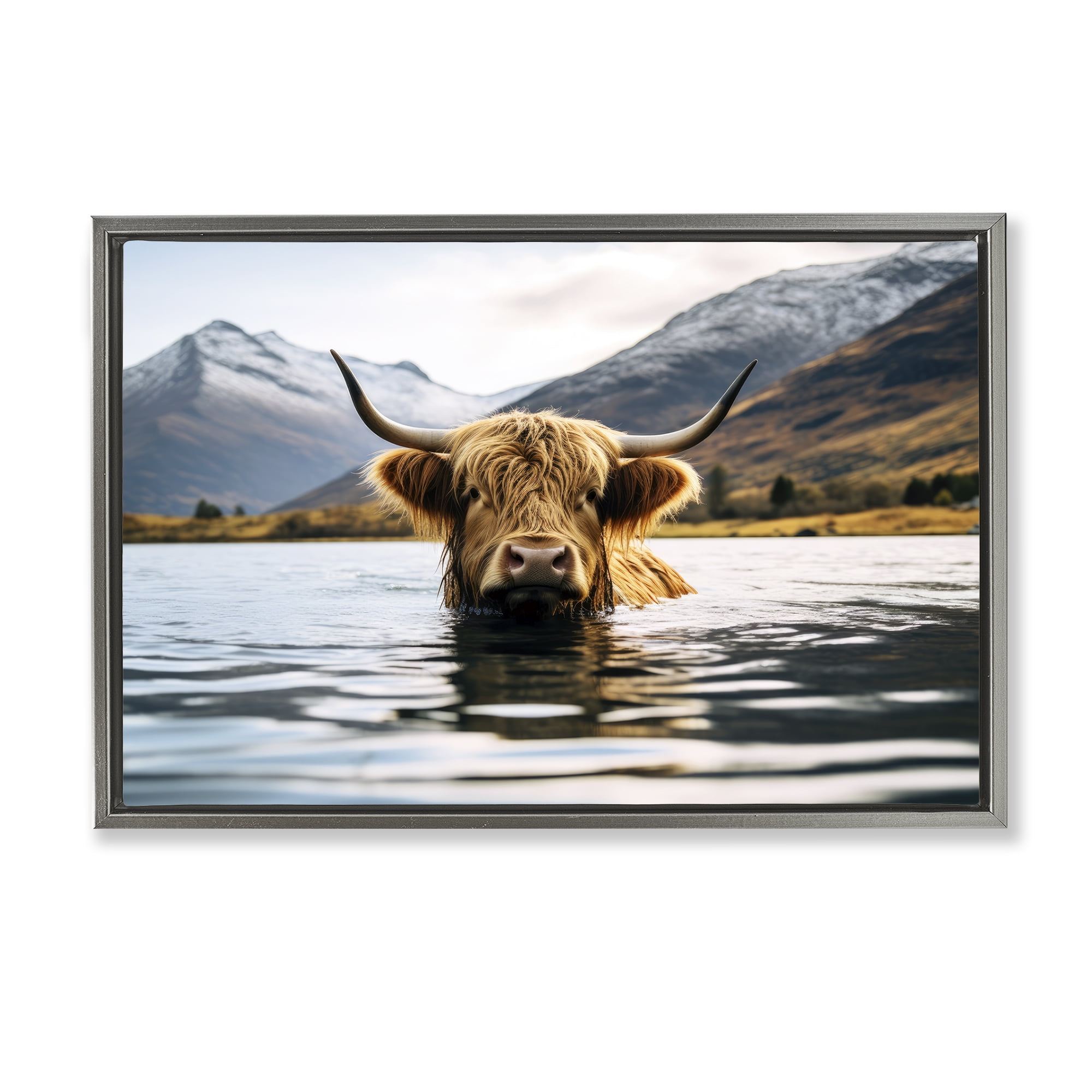 Stupell Industries Cattle Peeking from Water Animals Photography Gray Floater Framed Canvas Art Print Wall Art, 31 x 21