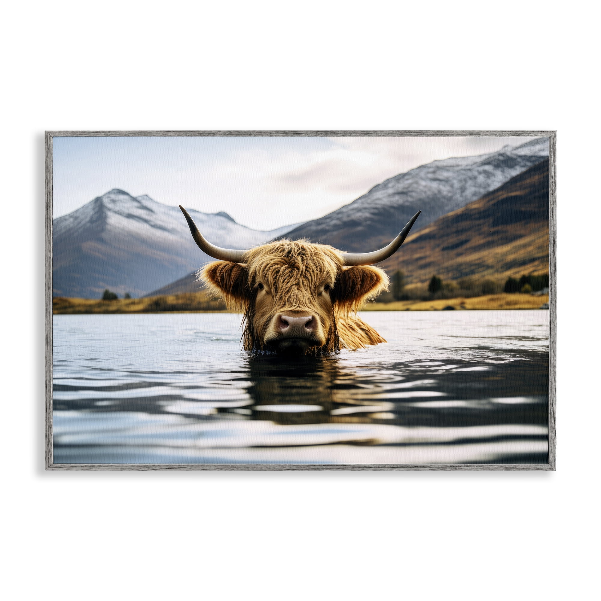 Stupell Industries Cattle Peeking from Water Animals Photography Gray Framed Art Print Wall Art, 18 x 12