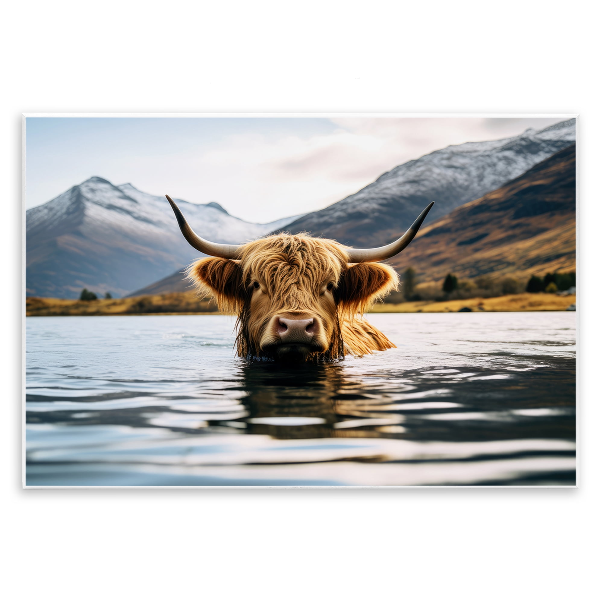 Stupell Industries Cattle Peeking from Water Animals Photography Unframed Art Print Wall Art, 15 x 10
