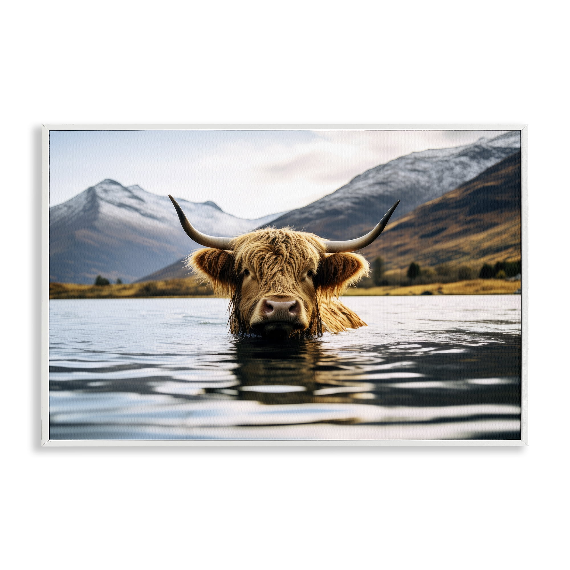 Stupell Industries Cattle Peeking from Water Animals Photography White Framed Art Print Wall Art, 24 x 16