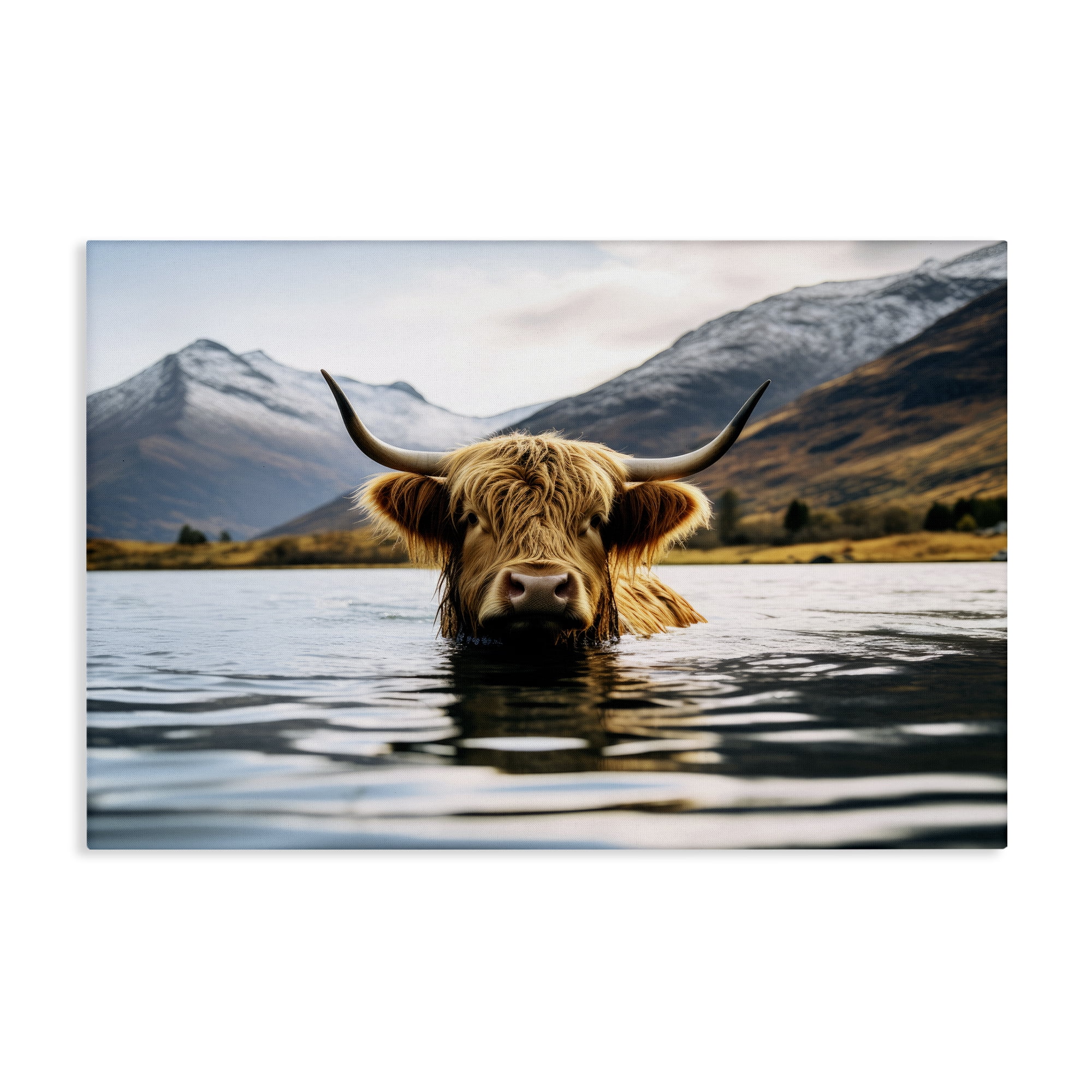 Stupell Industries Cattle Peeking from Water Animals Photography Wrapped Canvas Art Print Wall Art, 30 x 20
