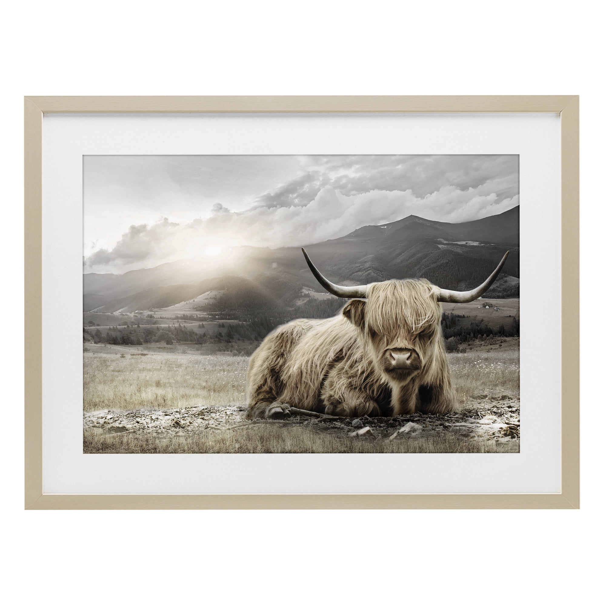 Stupell Industries Cattle Resting in Morning Sun Birch Framed Print Under Glass, design by CAD Designs