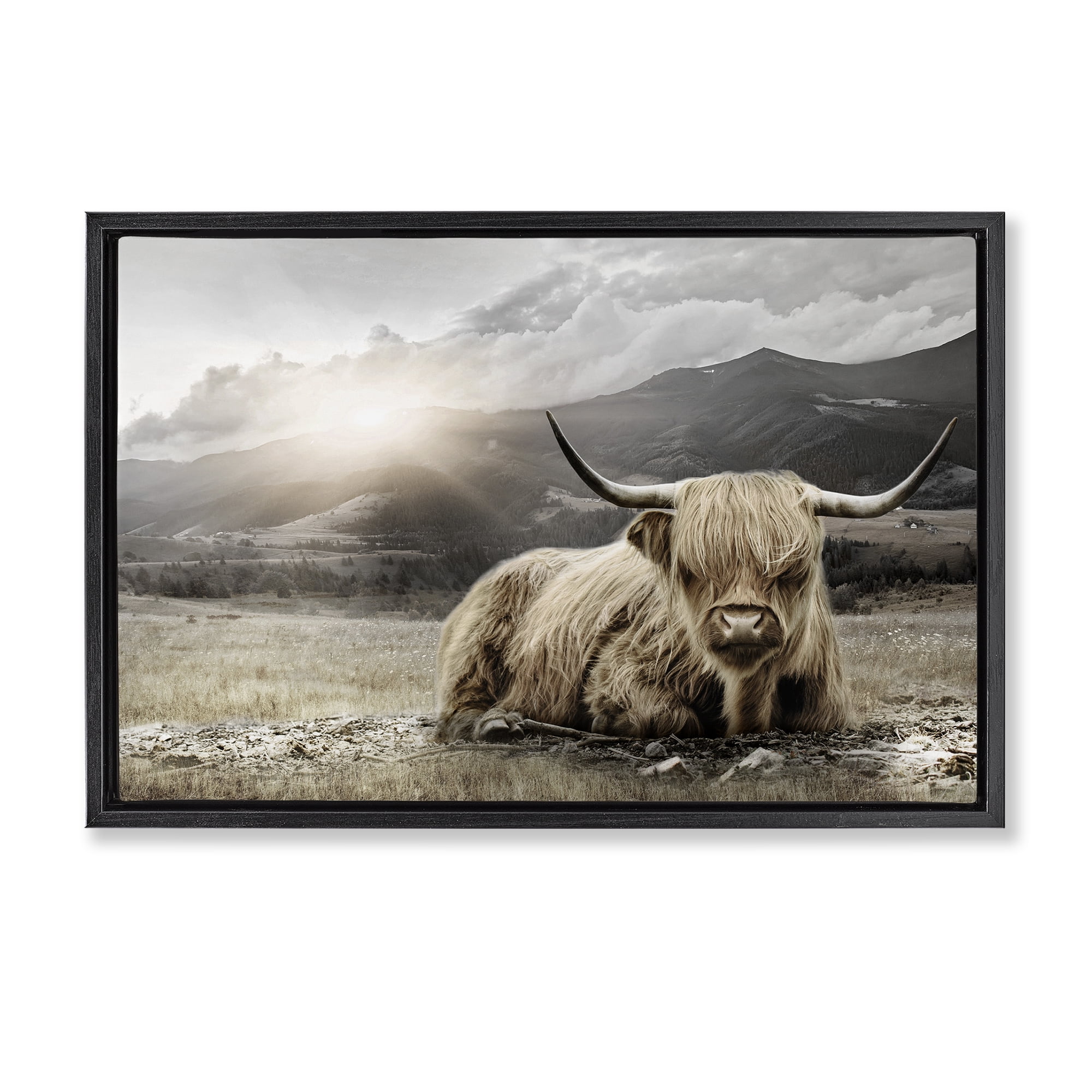 Stupell Industries Cattle Resting in Morning Sun Black Framed Floater Canvas Wall Art, design by CAD Designs