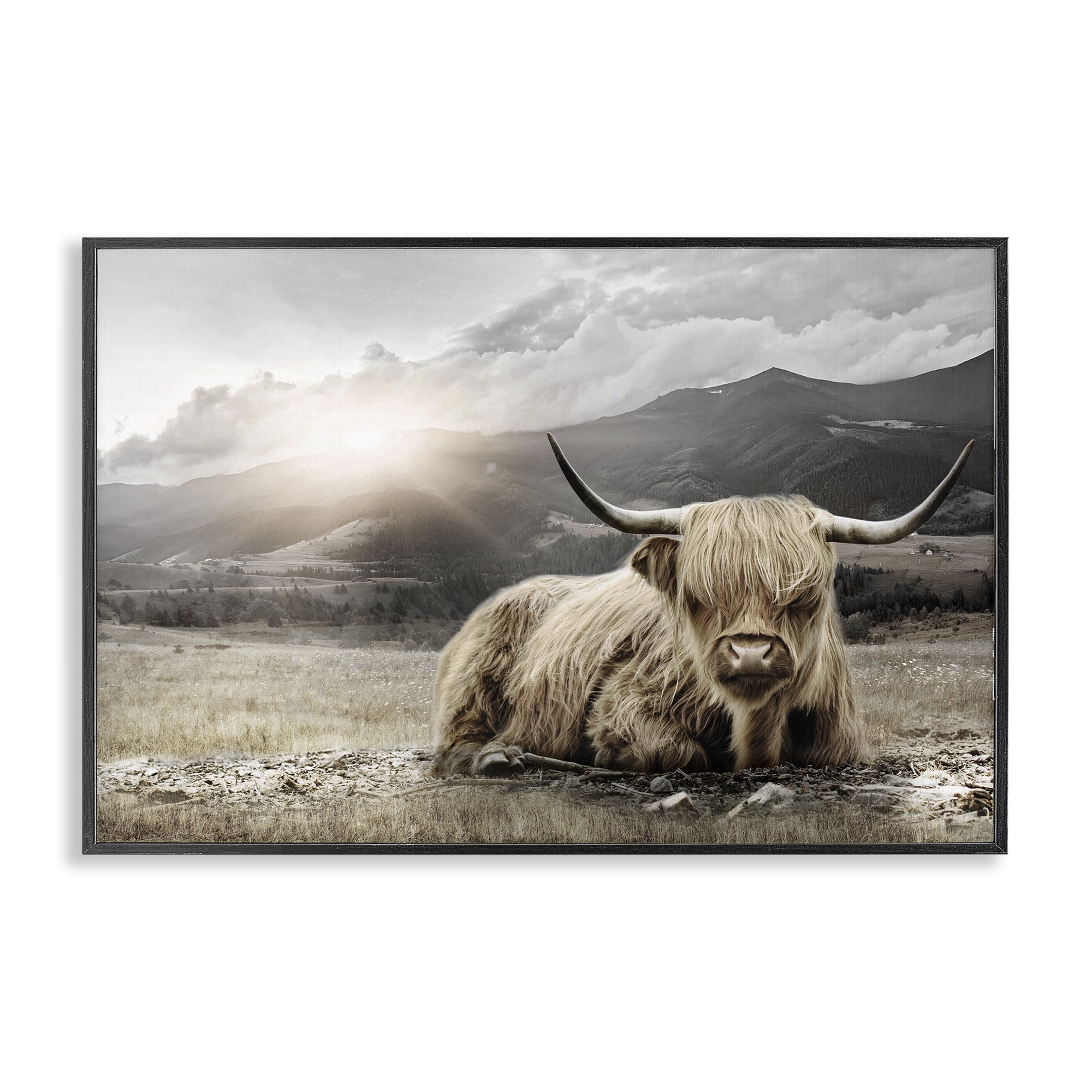 Stupell Industries Cattle Resting in Morning Sun Black Framed Giclee Art, design by CAD Designs