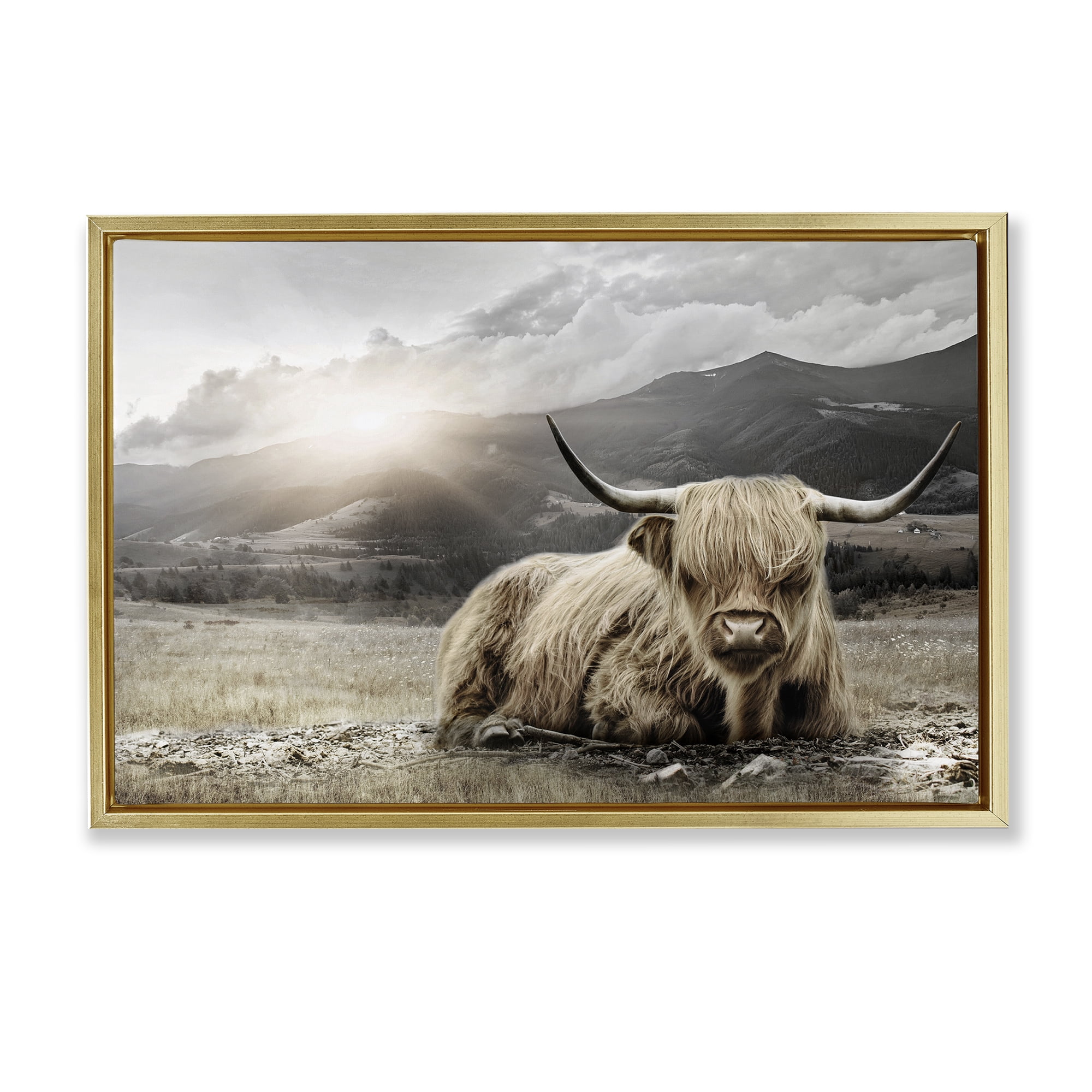 Stupell Industries Cattle Resting in Morning Sun Gold Framed Floater Canvas Wall Art, design by CAD Designs