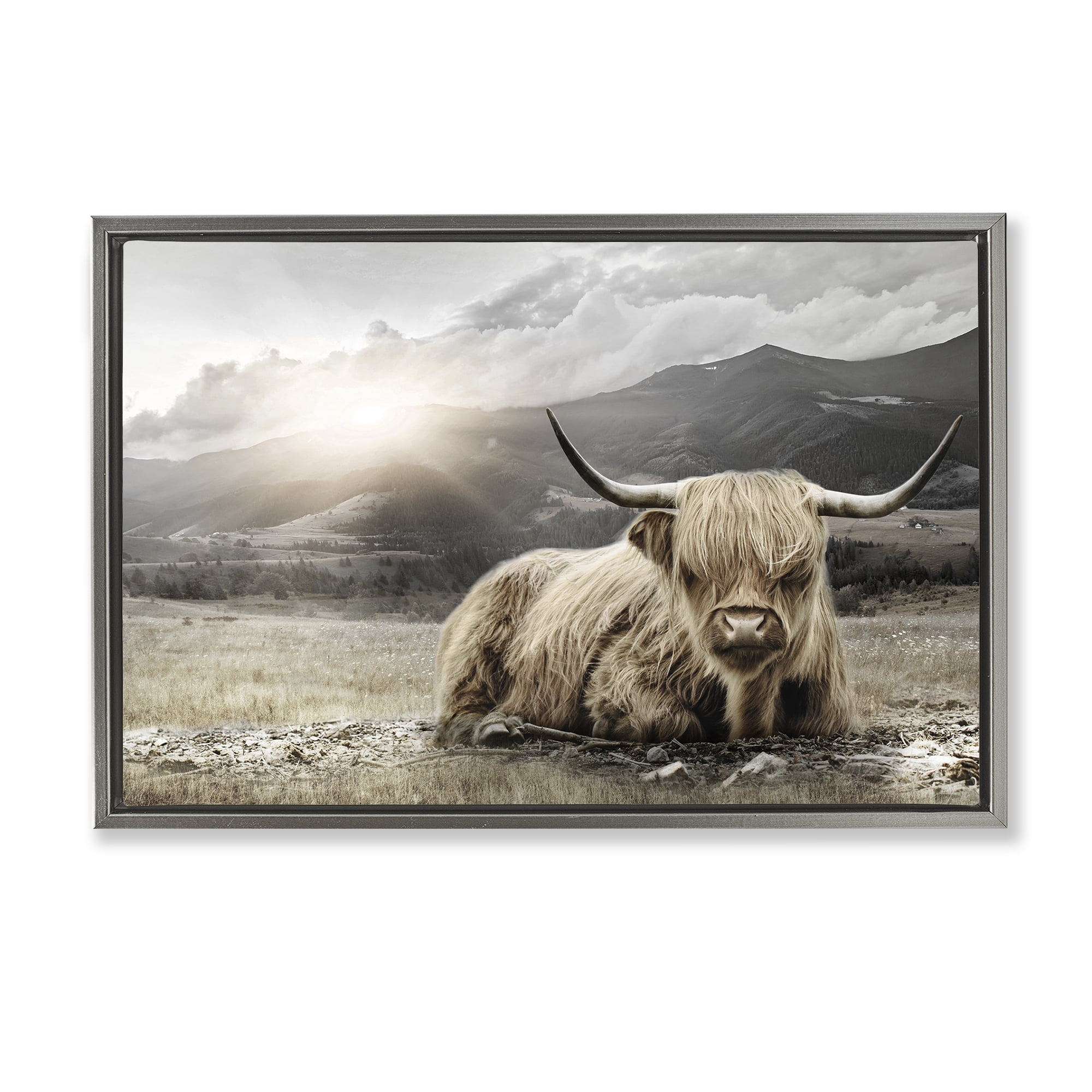Stupell Industries Cattle Resting in Morning Sun Gray Framed Floater Canvas Wall Art, design by CAD Designs