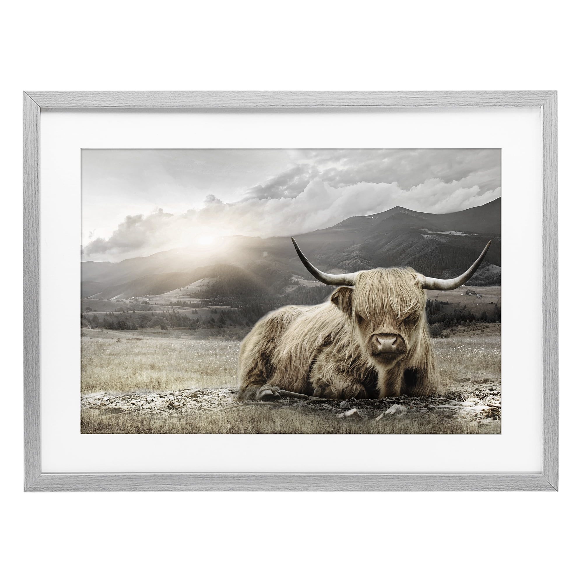 Stupell Industries Cattle Resting in Morning Sun Gray Framed Print Under Glass, design by CAD Designs