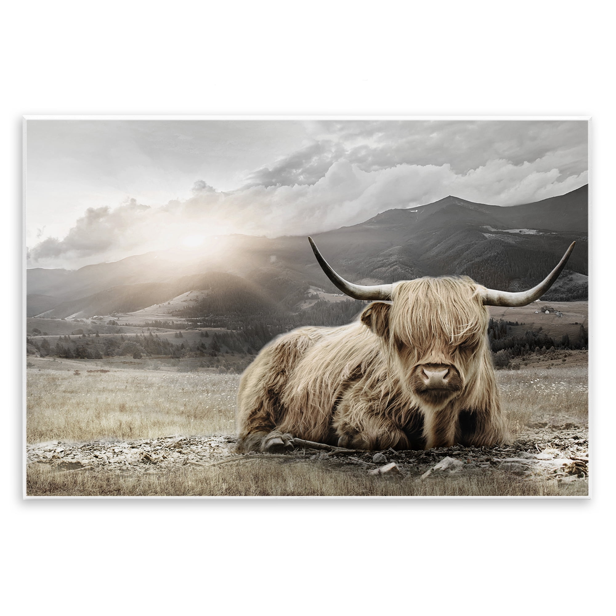 Stupell Industries Cattle Resting in Morning Sun Wall Plaque Art, design by CAD Designs