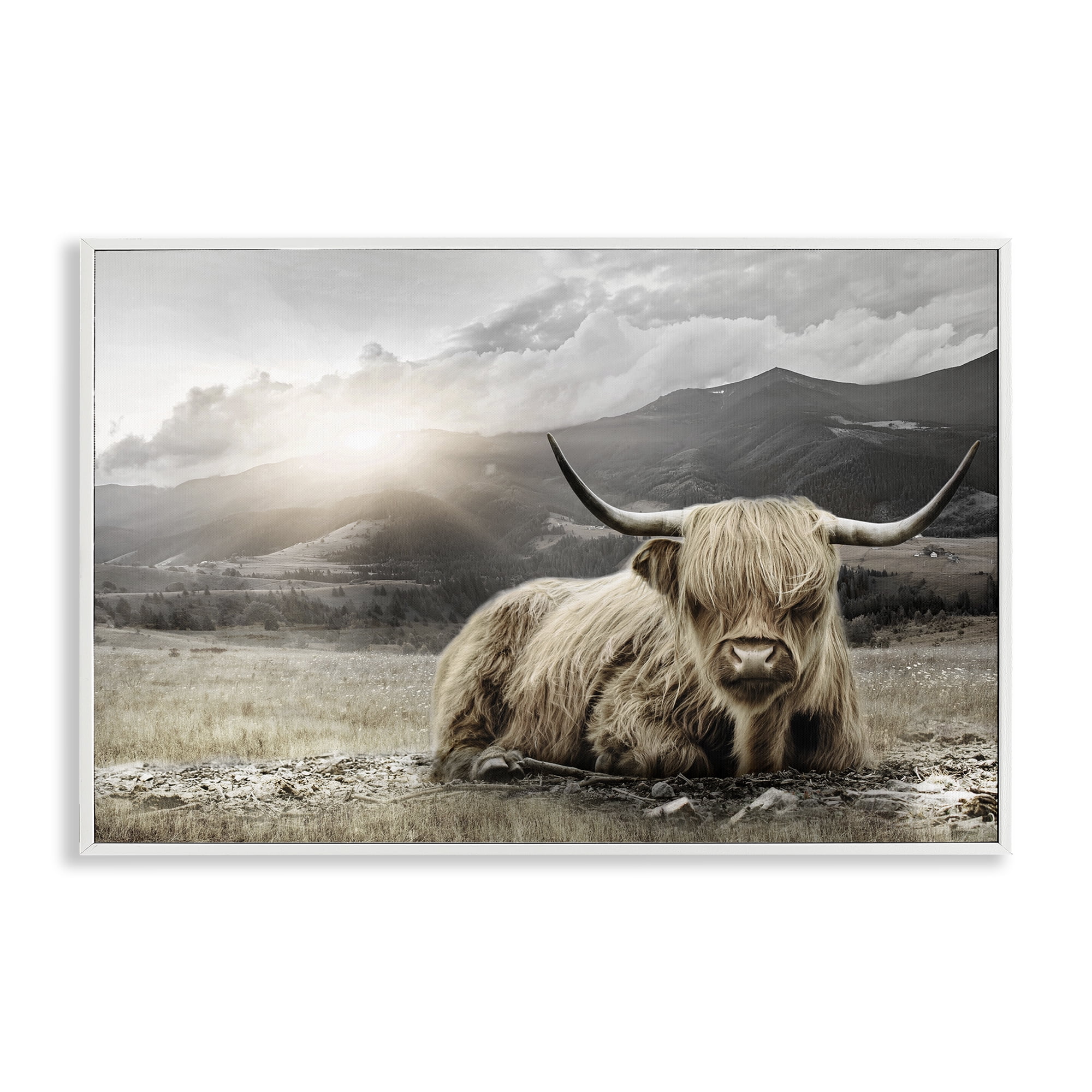 Stupell Industries Cattle Resting in Morning Sun White Framed Giclee Art, design by CAD Designs