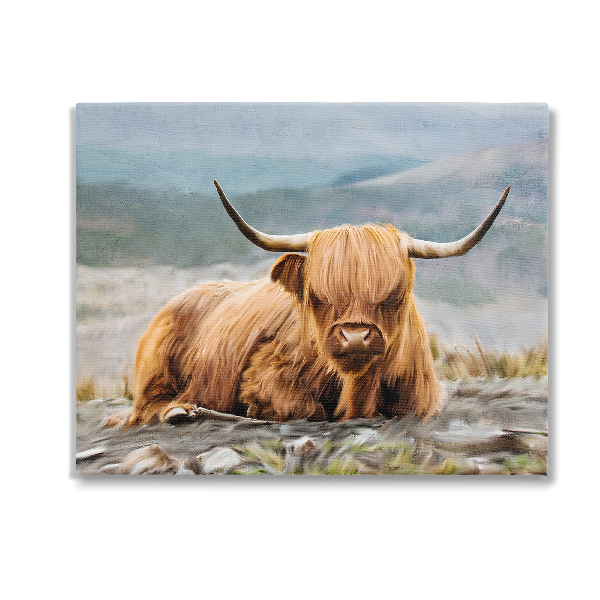 Stupell Industries Cattle Resting in Nature Animals & Insects Photography Gallery Wrapped Canvas Art Print Wall Art, 20 x 16