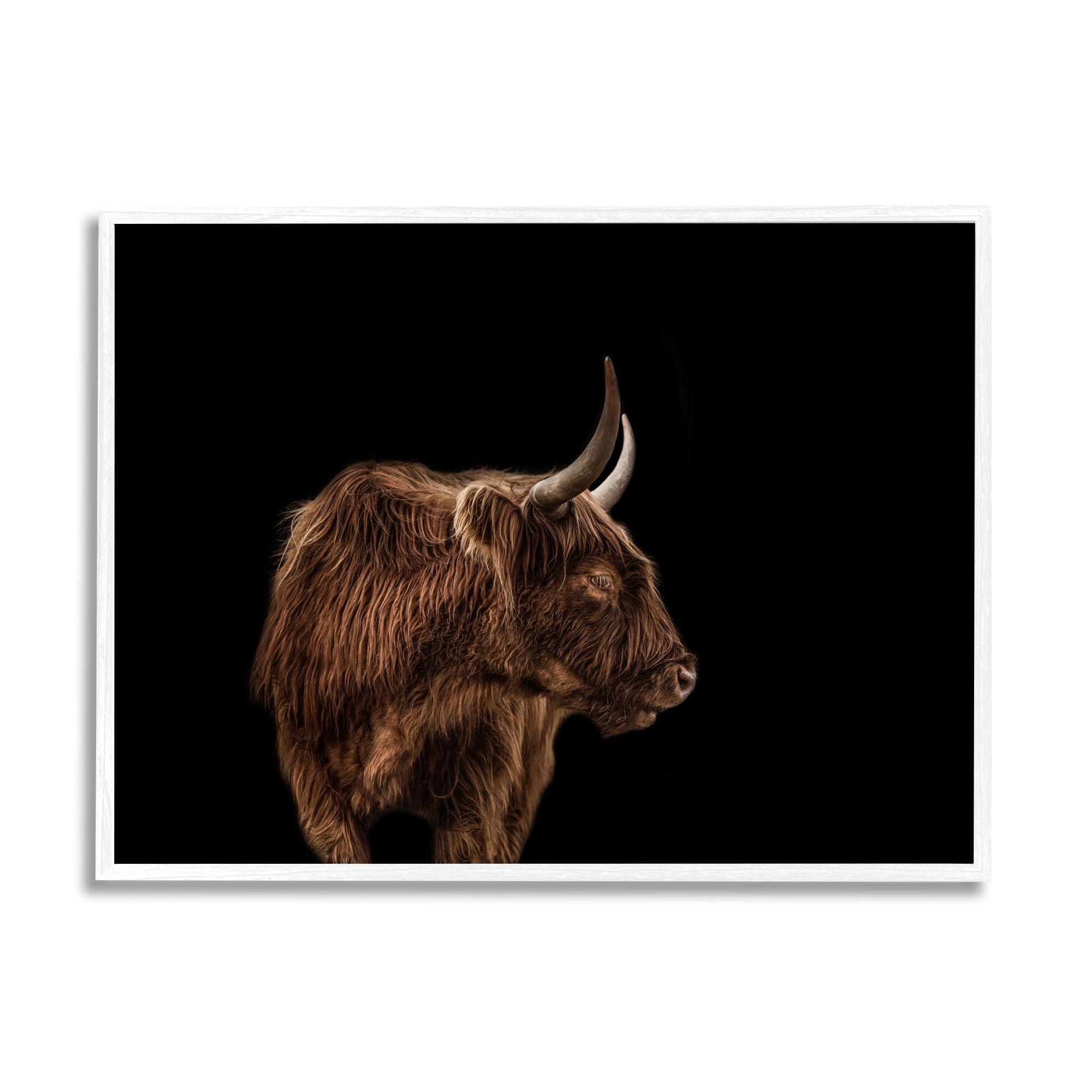 Stupell Industries Cattle Side Portrait Minimal Modern Farm Animals & Insects Photography White Framed Art Print Wall Art, 16 x 20