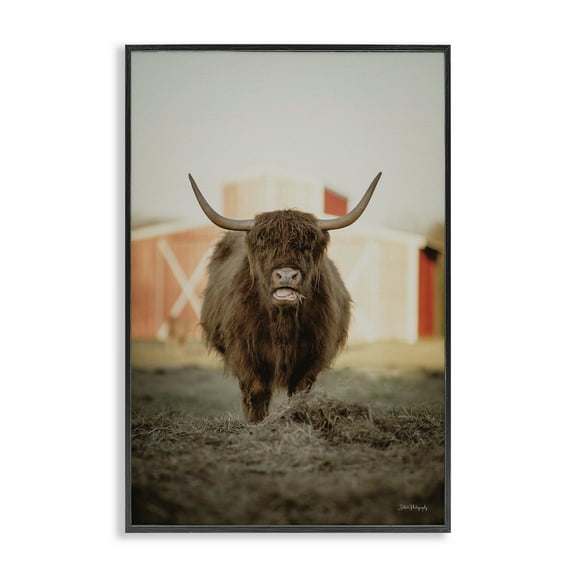 Stupell Industries Cattle on Farm Field Animals & Insects Photography Black Framed Art Print Wall Art, 12 x 18
