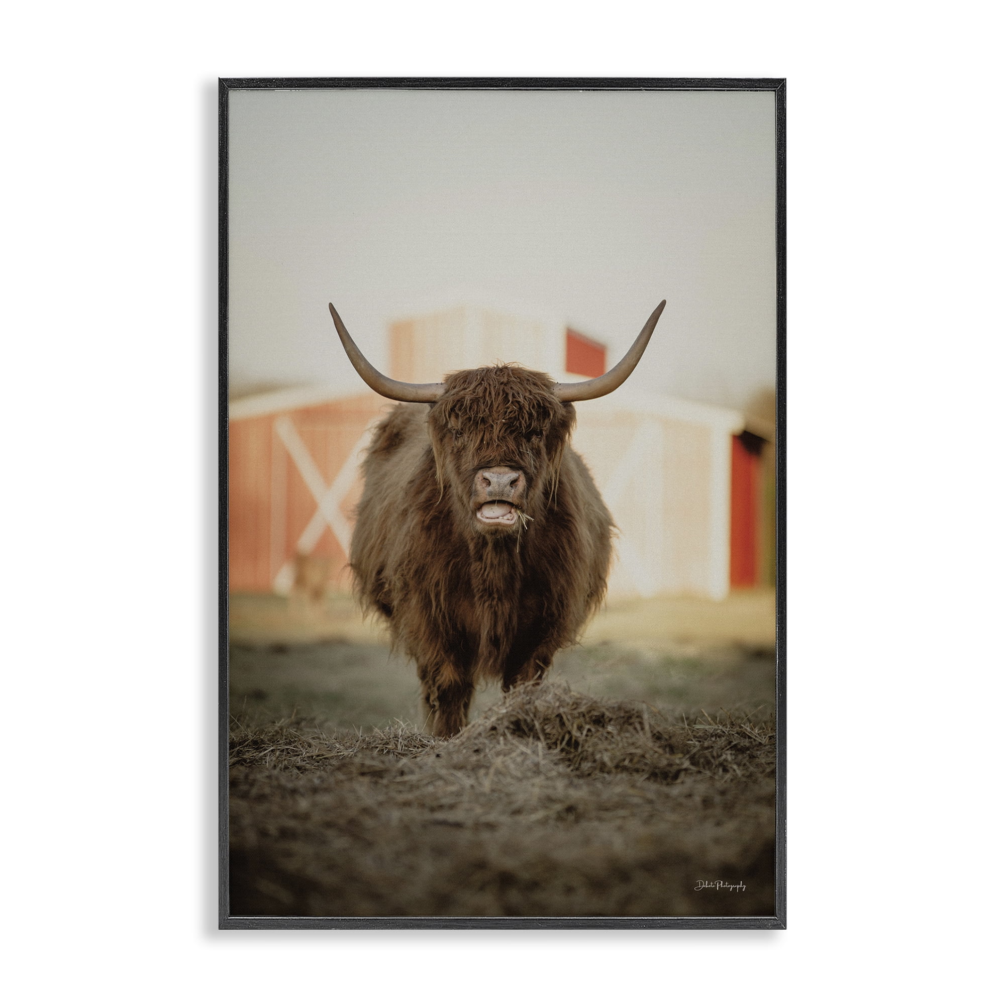 Stupell Industries Cattle on Farm Field Animals & Insects Photography Black Framed Art Print Wall Art, 20 x 30