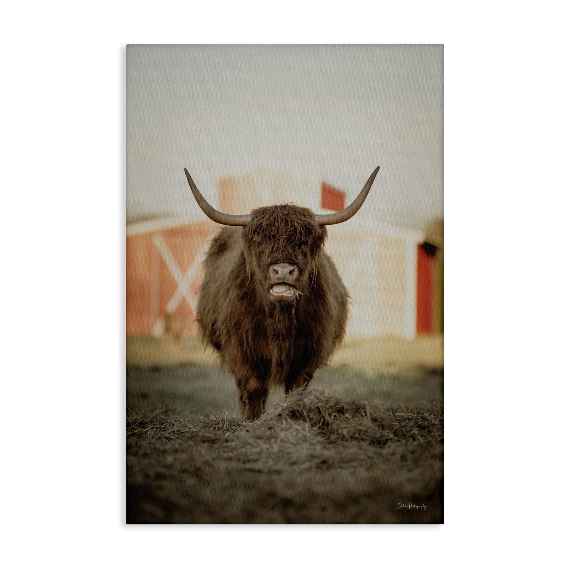 Stupell Industries Cattle on Farm Field Animals & Insects Photography Gallery Wrapped Canvas Art Print Wall Art, 16 x 24