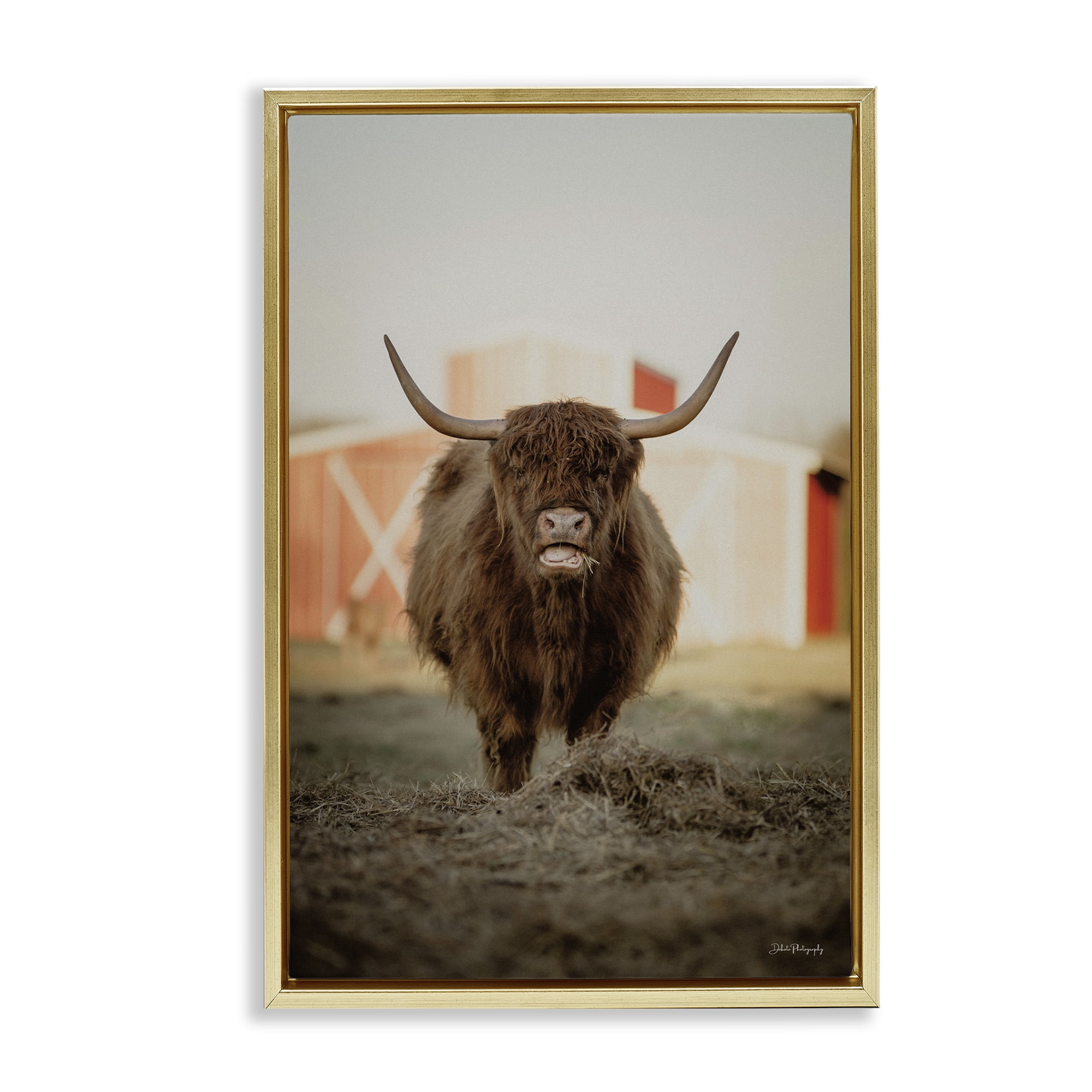 Stupell Industries Cattle on Farm Field Animals & Insects Photography Gold Floater Framed Canvas Art Print Wall Art, 21 x 31