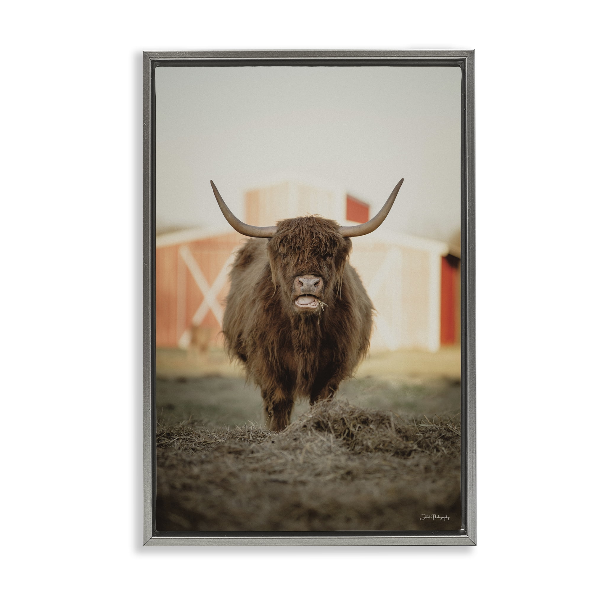 Stupell Industries Cattle on Farm Field Animals & Insects Photography Gray Floater Framed Canvas Art Print Wall Art, 17 x 25