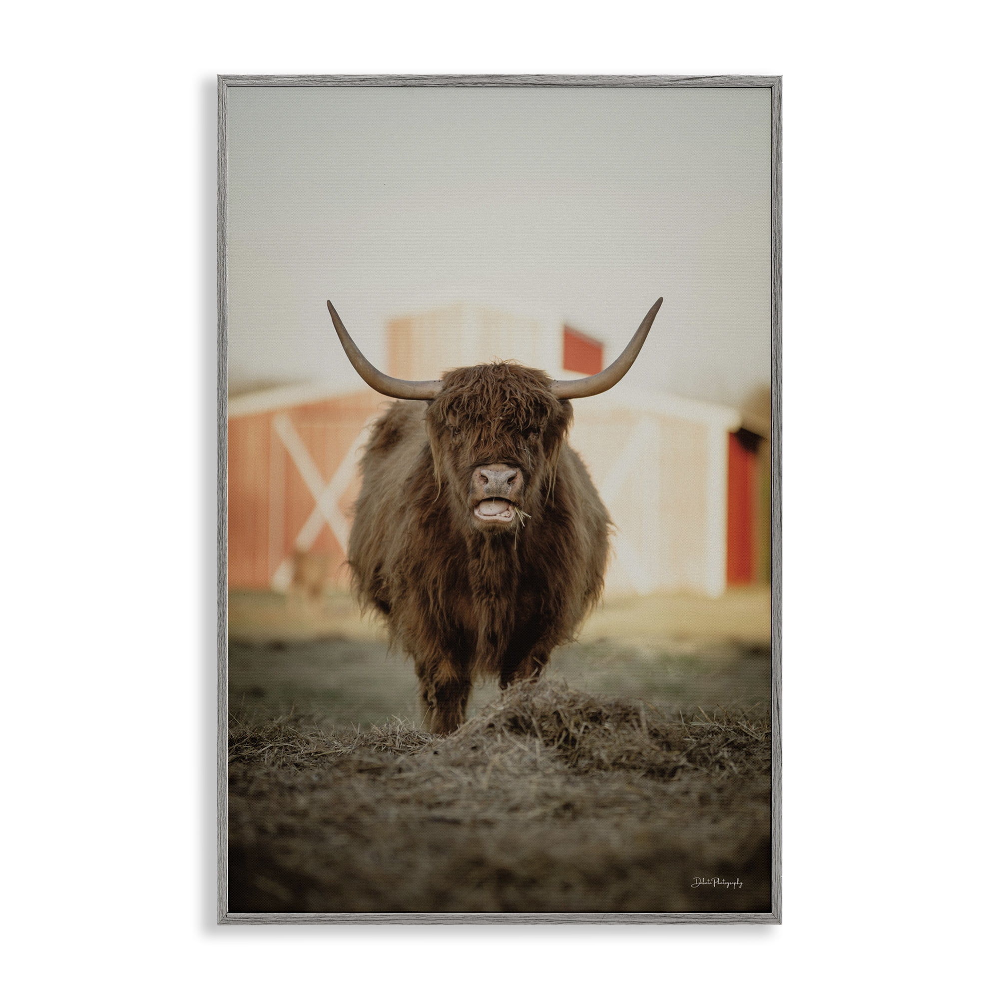 Stupell Industries Cattle on Farm Field Animals & Insects Photography Gray Framed Art Print Wall Art, 12 x 18