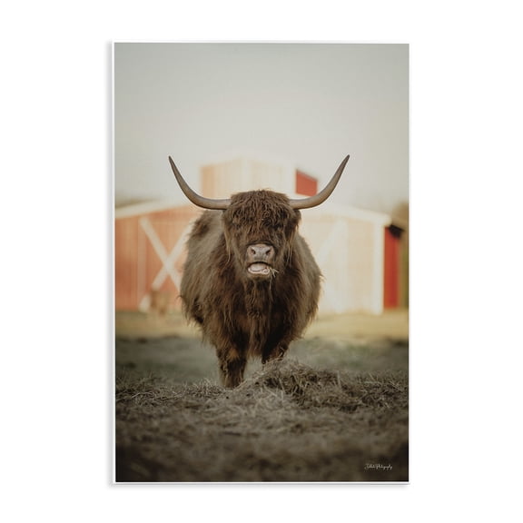 Stupell Industries Cattle on Farm Field Animals & Insects Photography Unframed Art Print Wall Art, 13 x 19