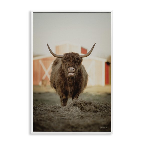 Stupell Industries Cattle on Farm Field Animals & Insects Photography White Framed Art Print Wall Art, 12 x 18