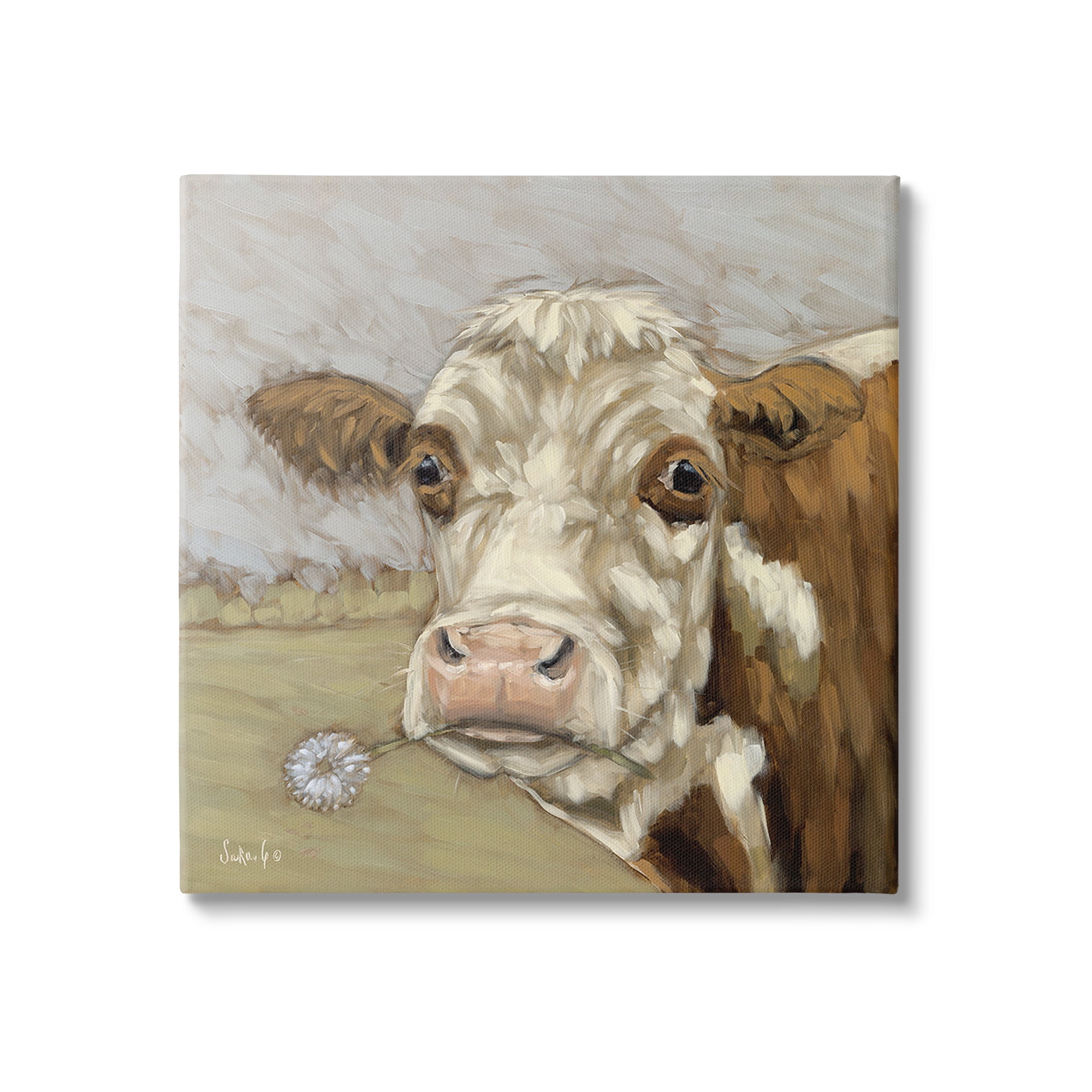 Stupell Industries Cattle with Dandelion Sprig Animals & Insects Painting Gallery Wrapped Canvas Art Print Wall Art, 36 x 36