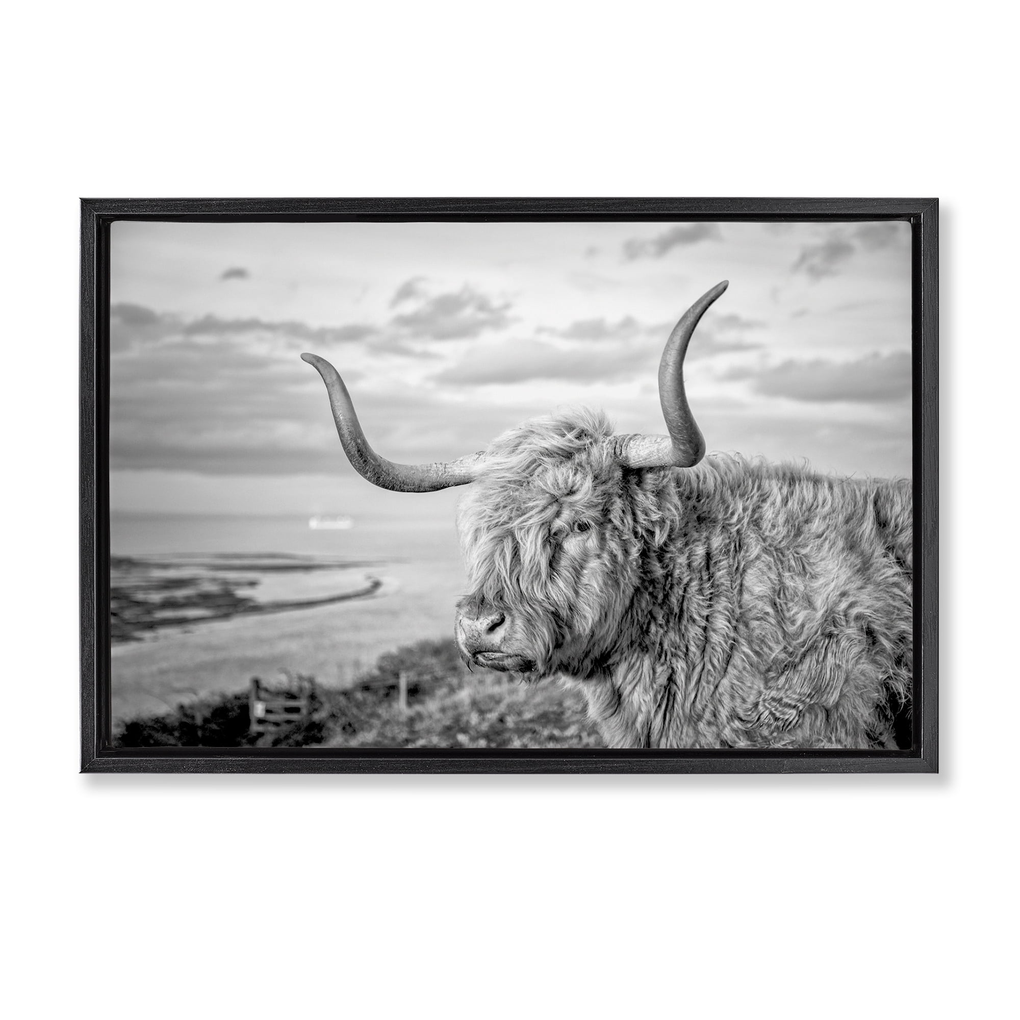Stupell Industries Cattle with Ocean Breeze Animals & Insects Photography Black Floater Framed Canvas Art Print Wall Art, 31 x 21