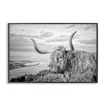 Stupell Industries Cattle with Ocean Breeze Animals & Insects Photography Black Framed Art Print Wall Art, 18 x 12