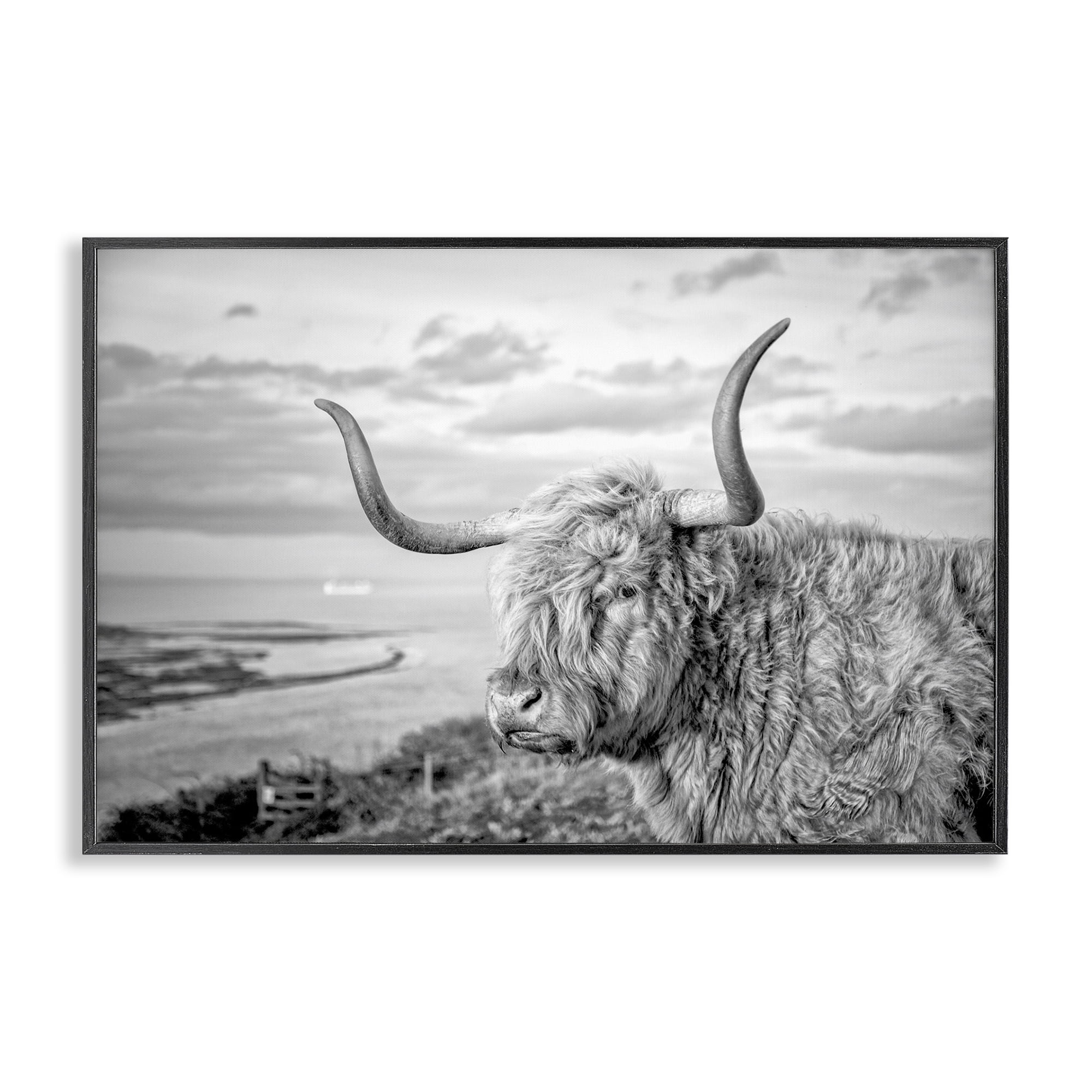Stupell Industries Cattle with Ocean Breeze Animals & Insects Photography Black Framed Art Print Wall Art, 30 x 20
