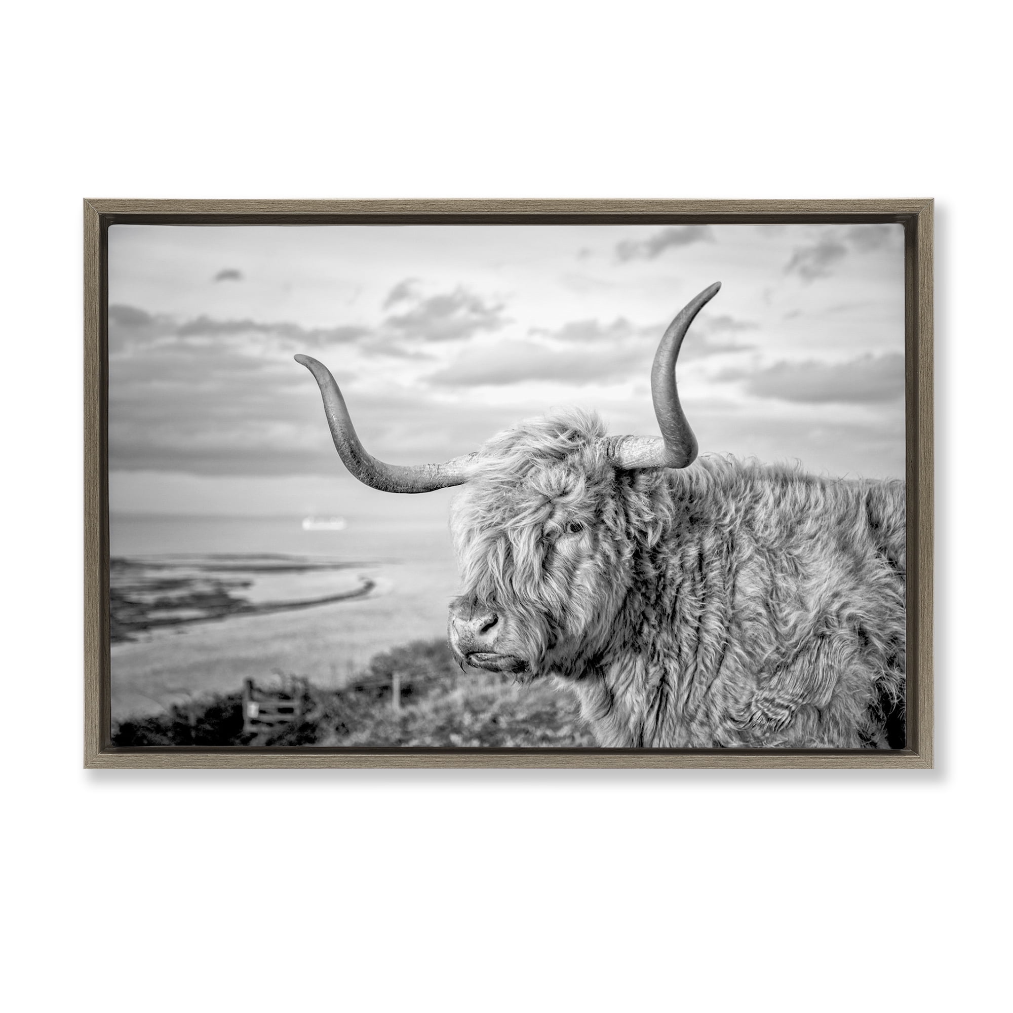 Stupell Industries Cattle with Ocean Breeze Animals & Insects Photography Brown Floater Framed Canvas Art Print Wall Art, 31 x 21