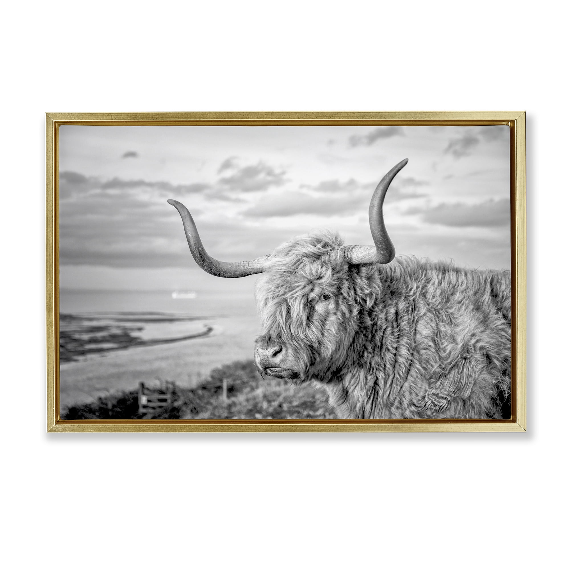 Stupell Industries Cattle with Ocean Breeze Animals & Insects Photography Gold Floater Framed Canvas Art Print Wall Art, 31 x 21