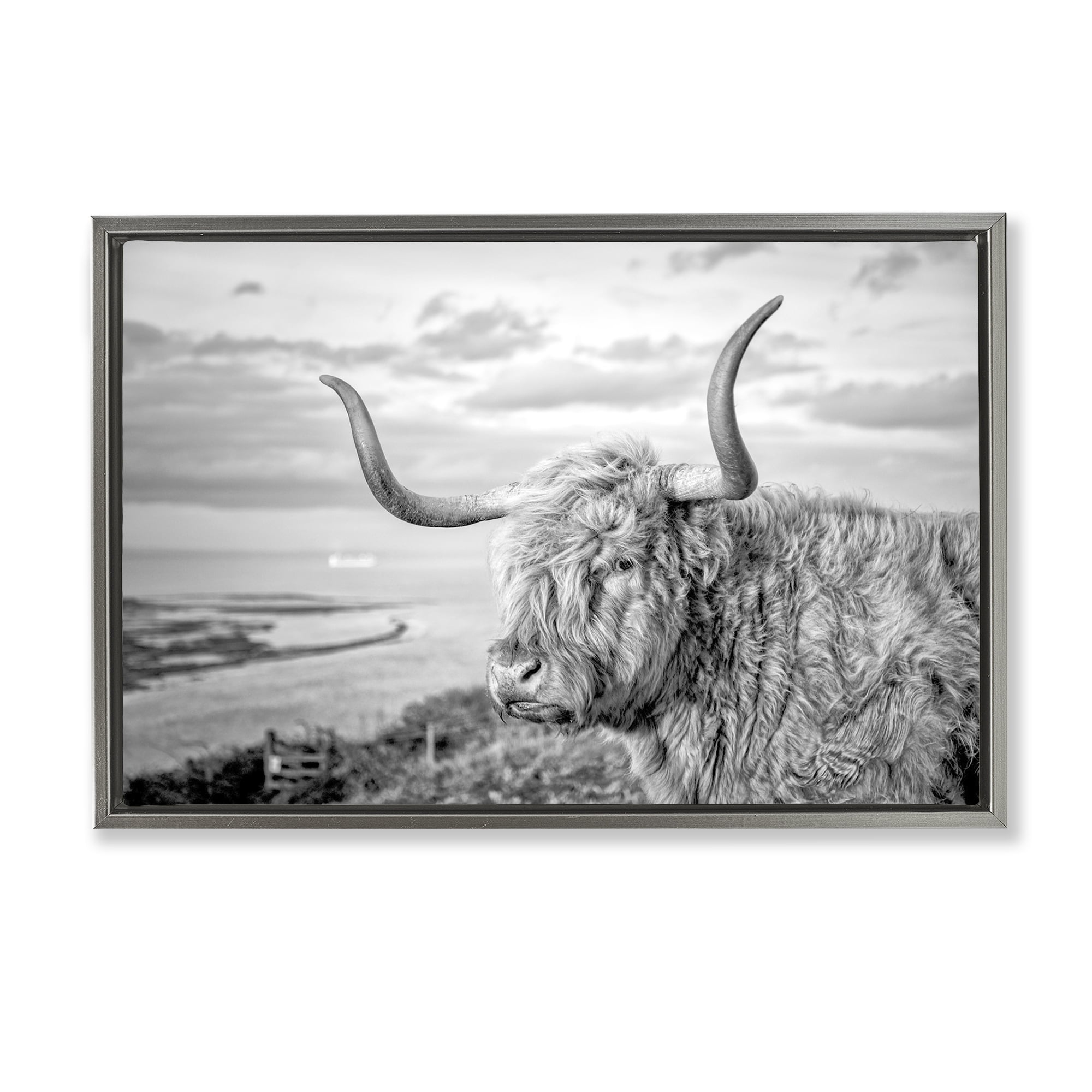 Stupell Industries Cattle with Ocean Breeze Animals & Insects Photography Gray Floater Framed Canvas Art Print Wall Art, 31 x 21