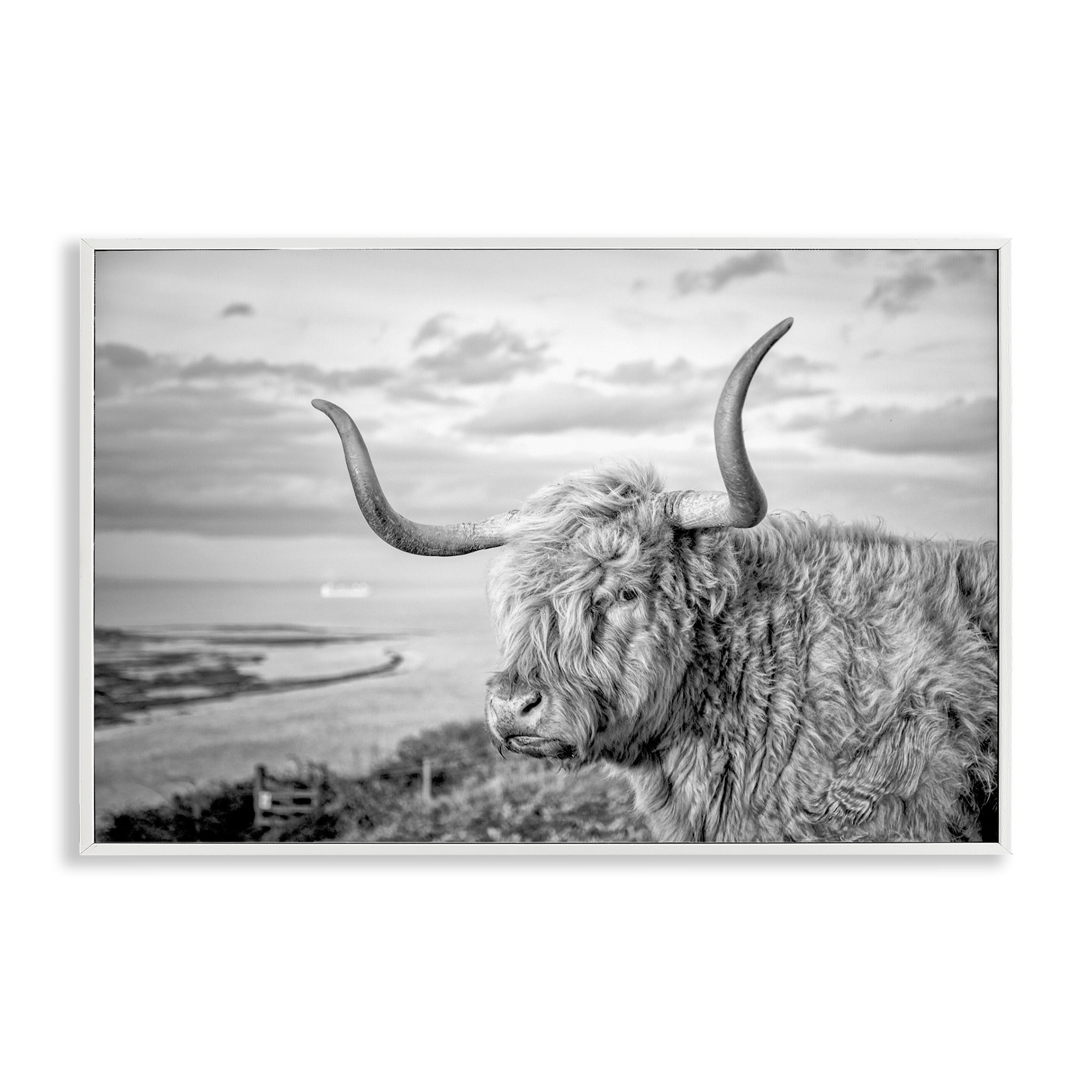 Stupell Industries Cattle with Ocean Breeze Animals & Insects Photography White Framed Art Print Wall Art, 30 x 20