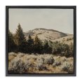 thumbnail image 1 of Stupell Industries Southwestern Cedar Mountain View Black Floating Frame Canvas Art, 18 x 18, by Petals Prints Design, 1 of 8