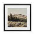 thumbnail image 1 of Stupell Industries Southwestern Cedar Mountain View Black Framed Print Under Glass, 13 x 13, by Petals Prints Design, 1 of 8