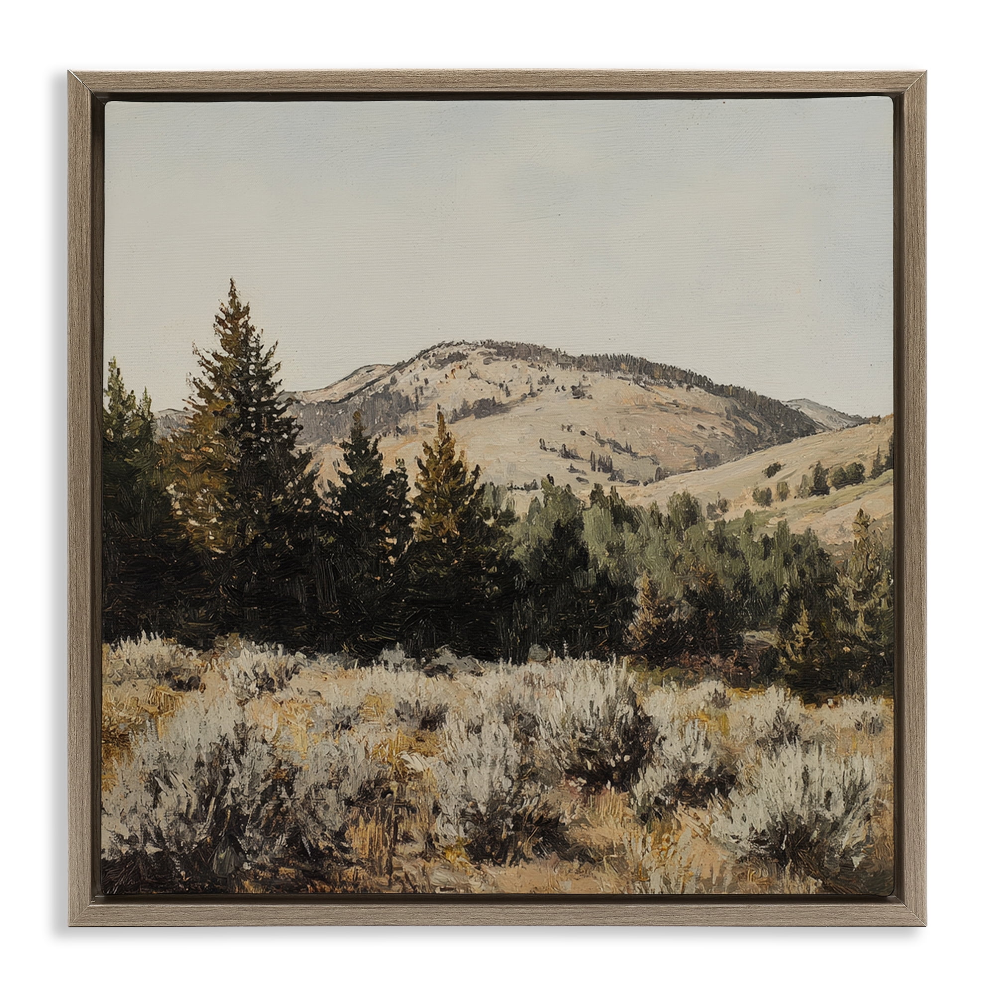 Stupell Industries Cedar Mountain View Brown Framed Floater Canvas Wall Art, design by Petal Prints Design