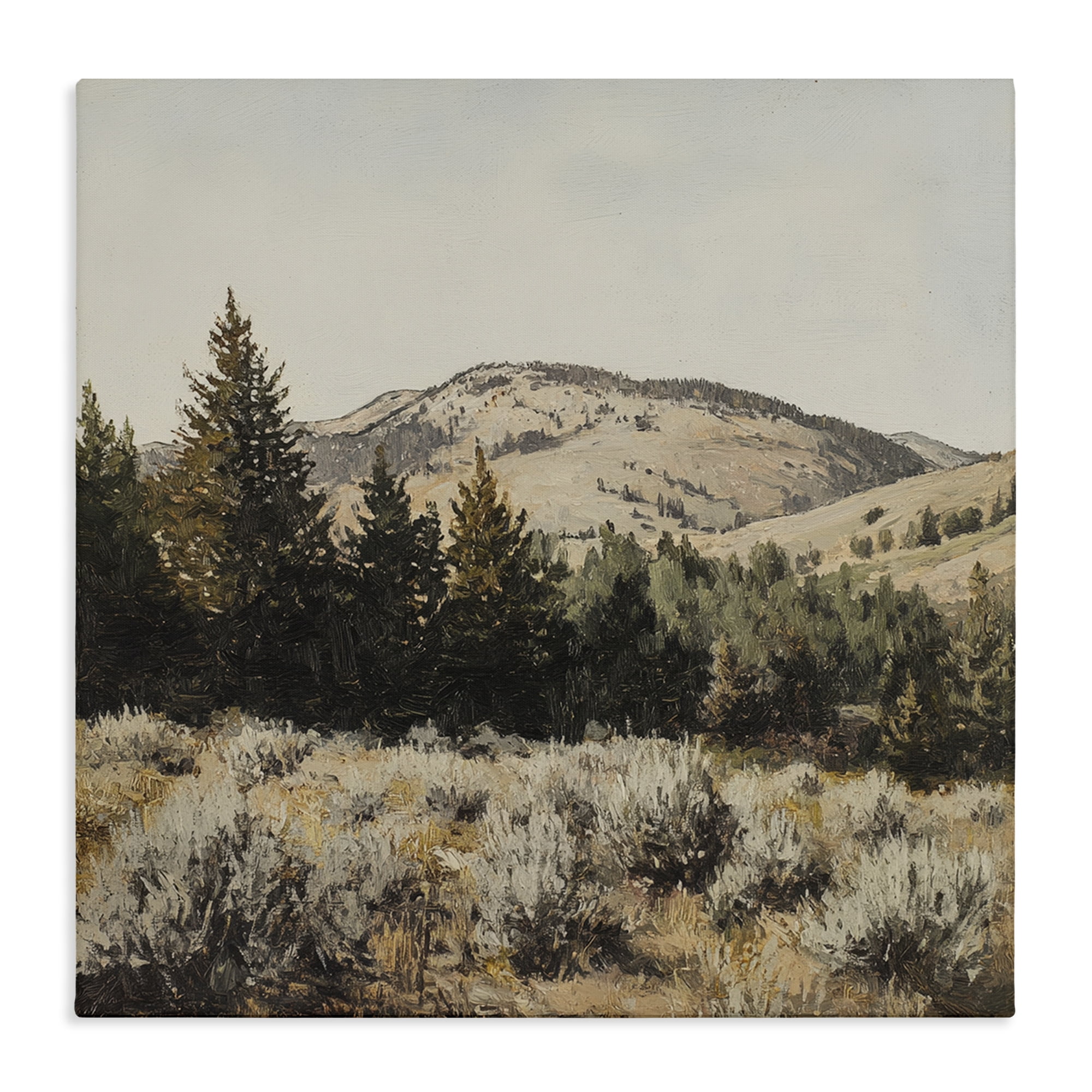 Stupell Industries Cedar Mountain View Canvas Wall Art, design by Petal Prints Design